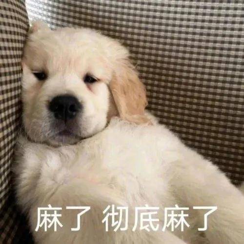 麻了麻了！锡安突发伤病！NBA又一球星倒下